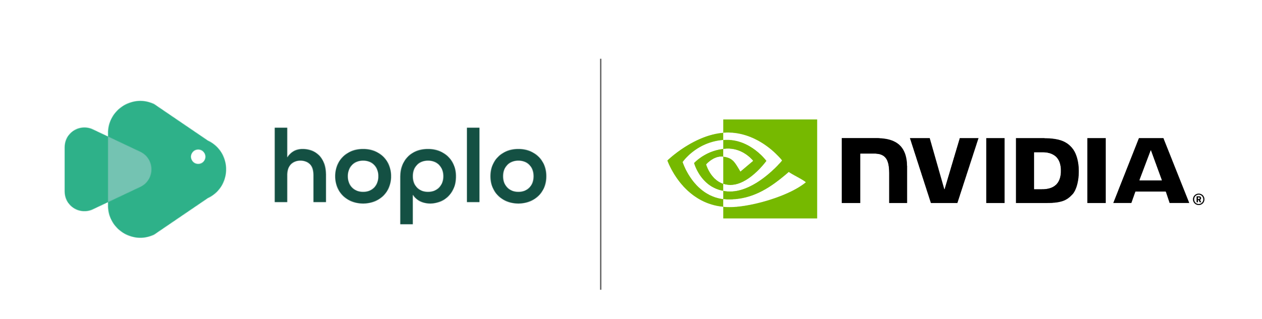 Hoplo | NVIDIA Partner Connect